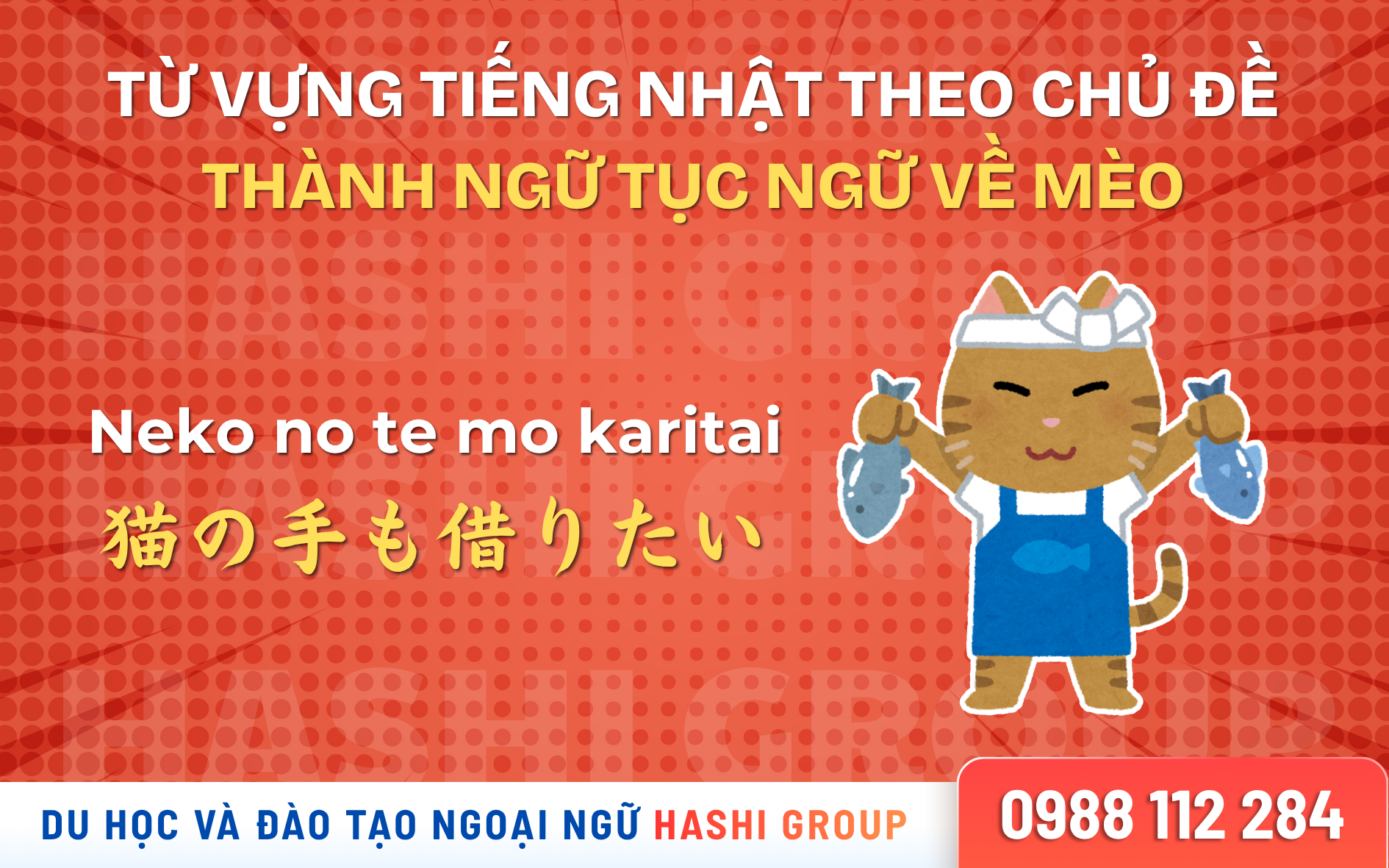 [CÓ PHIÊN ÂM – DỄ HỌC] CÁC THÀNH NGỮ TIẾNG NHẬT VỀ MÈO THƯỜNG GẶP NHẤT